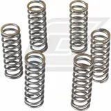 Premium Kupplungsfedern-Kit CSK043