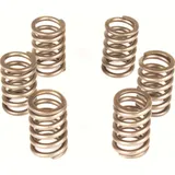 Premium clutch spring kit for: KTM CSK064