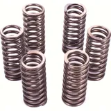 Kupplungsfedernsatz Premium Kupplungsfedern-Kit CSK081