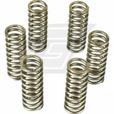 Premium clutch spring kit CSK090