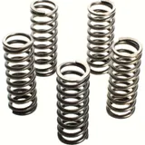 Premium clutch spring kit CSK112