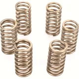 Premium clutch spring kit CSK136
