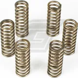 Premium Kupplungsfedern-Kit CSK145