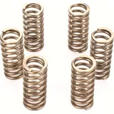 Premium clutch spring kit for: KTM CSK210