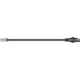 Adapter SAE-Output- TM cable (predecessor connection)