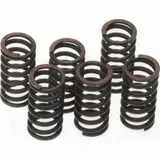 Kupplungsfeder 2T 4T -04 250 310 -13 ve6