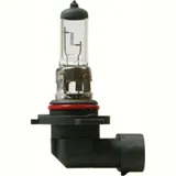 12V Halogen lamp - H10 - 42W - PY20d - 1 pcs - Box