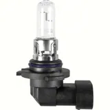 12V Halogen lamp - HB3 9005 - 60W - P20d - 1 pcs - D/Blister