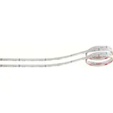 EP-Strips, white background, 12V - 24 Led - 2x50 cm - White