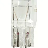 12V 21/5W T20 Lampen
