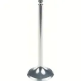 30.00 x 85.95 x 5.47 Auslassventil (Titanium)