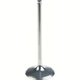 31.00 x 78.98 x 4.48 Einlassventil (Titanium)