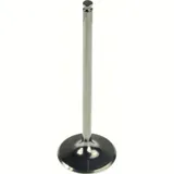30.90 x 99.40 x 4.98 Einlassventil (Titanium)
