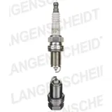 Spark plug NGK BCPR6EY