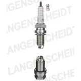 Spark plug NGK BCP7ET 1713