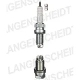 Spark plug NGK BCPR7ET 1725