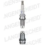 Spark plug NGK BKR6EKPB-11 Palladium/Platinum