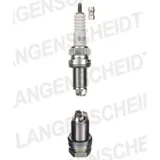 Spark plug NGK BCP6ET