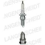 Spark plug NGK DPR8EA-9 2116