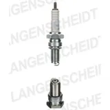 Spark plug NGK DR8ES 2159