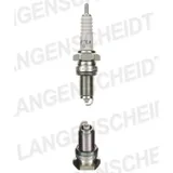 Spark plug NGK DP7EA-9 2194