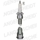 Spark plug NGK BPR6ES 2442