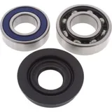 Drive Shaft Repair Kit Lower-Track Ski-Doo Formula MX Z440/MXZ X 97-98