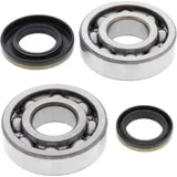 Crank Shaft Bearing Kit for: Suzuki RM250 03-04