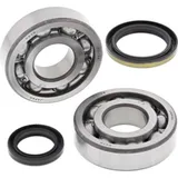 Kurbelwellenlager-Satz für: Suzuki RMX250 95-99 Kurbelwellenlager-Satz für: Suzuki RMX250 95-99