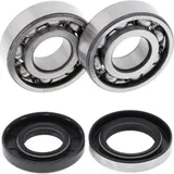 Crank Shaft Bearing Kit for: Suzuki TS100 73-77