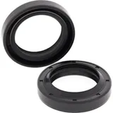 Crank Shaft Seal Kit for: Polaris 300 2x4 94-95