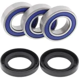 Talon Hub Bearing / seal kit
