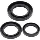 Differentialdichtungssatz - hinten - für: Kawasaki KLF300C Bayou 4x4 89-05