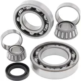 Differentiallager + Dichtungssatz - hinten - für: Kawasaki KLF300B Bayou 88-05