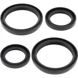 Differentialdichtungssatz - vorne - Arctic Cat 250 4x4 04-05