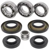 Differentiallager + Dichtungssatz - hinten - für: Honda TRX420 FA IRS 09-14
