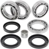 Differential Lager/Dicht Satz - hinten - Arctic Cat Wildcat 1000 14