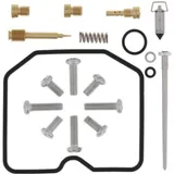 Carburetor Rebuild Kit Arctic Cat 300 2x4 10-16