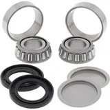 Swing Arm Bearing Kit Arctic Cat 250 2x4 06-09