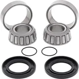 Swing Arm Bearing Kit for: Yamaha YFM250 Beartracker 99-04