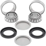 Swing Arm Bearing - Seal Kit for: Honda TRX400FA 04-06