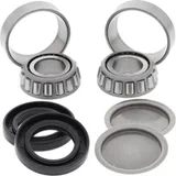 Lager / Dichtungssatz für die Schwinge für: CAN-AM Quest 500 02-03
