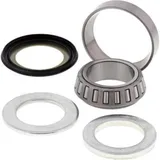 Stearing Bearing + Seal 419935125