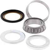 Stearing Bearing + Seal 419935405