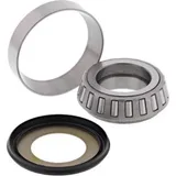 Stearing Bearing + Seal 419935445