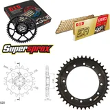 Kettensatz Stahl für: HONDA XL500 R 82-85 15-41-100 DID520ERT2(G&G) Clip