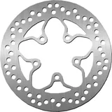 Bremsscheibe NG 1234 226 mm, starr (FXD)