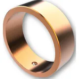 HIGHSIDER Farbring für Lenkergewichte, gold