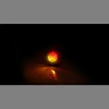 SHIN YO MODUL MH-70 LED Rück-, Bremslicht, Blinker