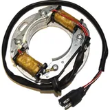 ElectroSport Stator ESC8081 für Lichtmaschine